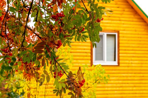 Cost of Garden Window Replacement in Boca Raton